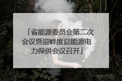 省能源委员会第二次会议暨迎峰度夏能源电力保供会议召开