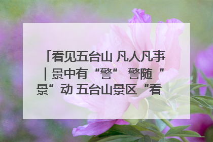 看见五台山 凡人凡事｜景中有“警” 警随“景”动 五台山景区“看得见”的平安守护