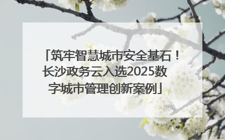 筑牢智慧城市安全基石！长沙政务云入选2025数字城市管理创新案例