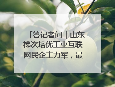 答记者问｜山东梯次培优工业互联网民企主力军，最高一次性奖补500万元