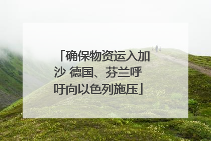 确保物资运入加沙 德国、芬兰呼吁向以色列施压