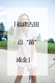 福建古田：点“菌”成金