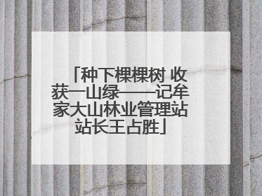 种下棵棵树 收获一山绿——记牟家大山林业管理站站长王占胜