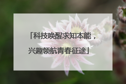 科技唤醒求知本能，兴趣领航青春征途