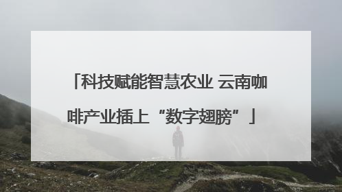 科技赋能智慧农业 云南咖啡产业插上“数字翅膀”