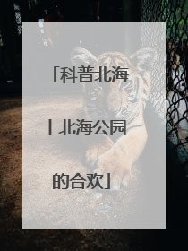 科普北海丨北海公园的合欢