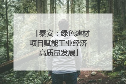 秦安：绿色建材项目赋能工业经济高质量发展