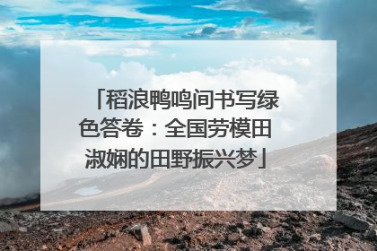 稻浪鸭鸣间书写绿色答卷：全国劳模田淑娴的田野振兴梦