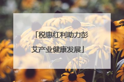 税惠红利助力彭艾产业健康发展