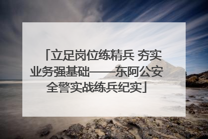 立足岗位练精兵 夯实业务强基础——东阿公安全警实战练兵纪实