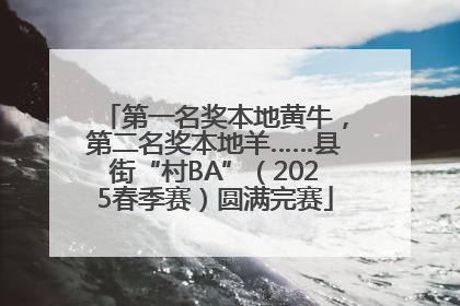 第一名奖本地黄牛，第二名奖本地羊……县街“村BA”（2025春季赛）圆满完赛