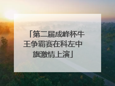 第二届成峰杯牛王争霸赛在科左中旗激情上演