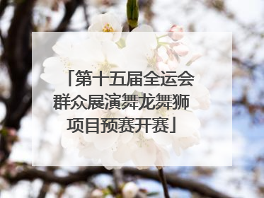 第十五届全运会群众展演舞龙舞狮项目预赛开赛