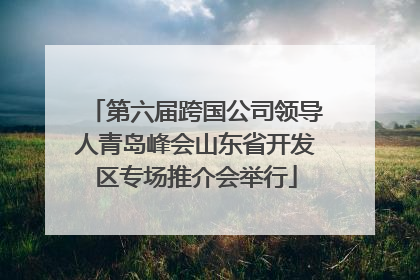 第六届跨国公司领导人青岛峰会山东省开发区专场推介会举行