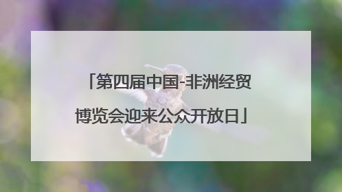 第四届中国-非洲经贸博览会迎来公众开放日