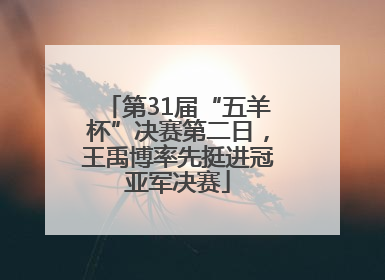 第31届“五羊杯”决赛第二日，王禹博率先挺进冠亚军决赛