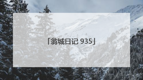 翁城日记 935
