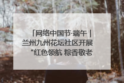 网络中国节·端午｜兰州九州花坛社区开展“红色领航 粽香敬老”端午主题活动