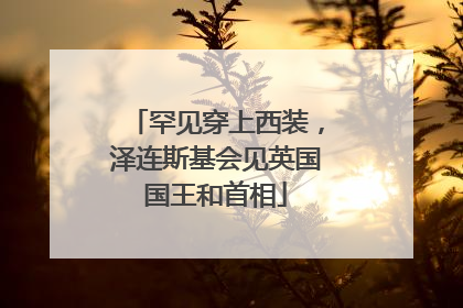 罕见穿上西装，泽连斯基会见英国国王和首相