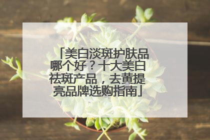 美白淡斑护肤品哪个好？十大美白祛斑产品，去黄提亮品牌选购指南