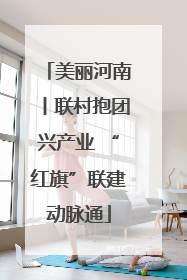 美丽河南丨联村抱团兴产业 “红旗”联建动脉通
