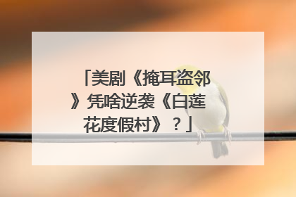 美剧《掩耳盗邻》凭啥逆袭《白莲花度假村》？
