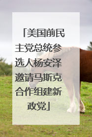 美国前民主党总统参选人杨安泽邀请马斯克合作组建新政党