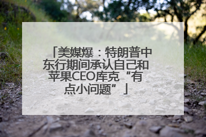 美媒爆：特朗普中东行期间承认自己和苹果CEO库克“有点小问题”