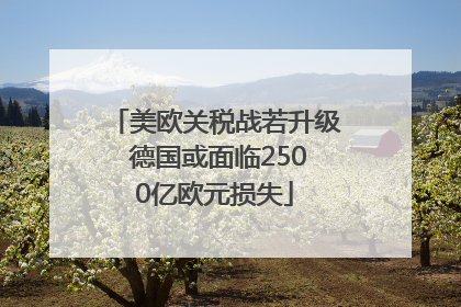 美欧关税战若升级 德国或面临2500亿欧元损失