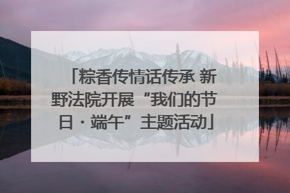 粽香传情话传承 新野法院开展“我们的节日・端午”主题活动