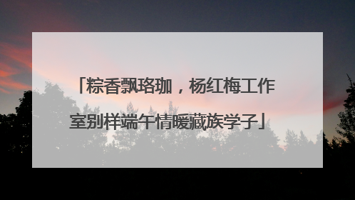 粽香飘珞珈，杨红梅工作室别样端午情暖藏族学子