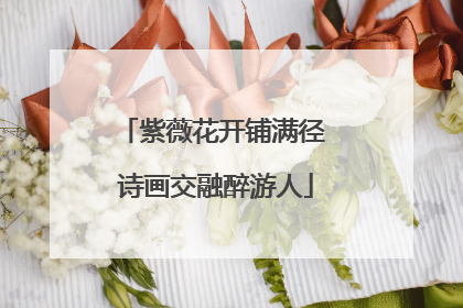 紫薇花开铺满径 诗画交融醉游人