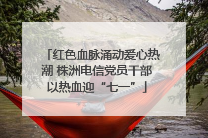 红色血脉涌动爱心热潮 株洲电信党员干部以热血迎“七一”