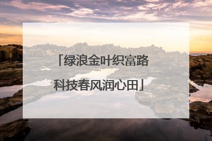 绿浪金叶织富路 科技春风润心田