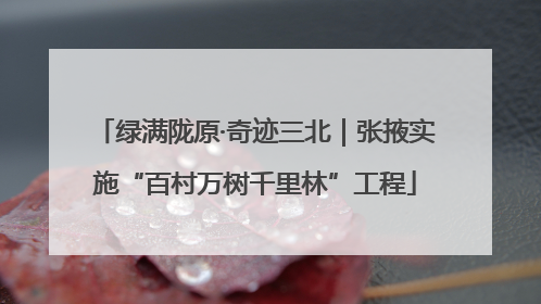 绿满陇原·奇迹三北｜张掖实施“百村万树千里林”工程