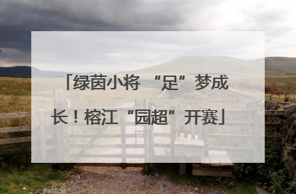 绿茵小将 “足”梦成长！榕江“园超”开赛