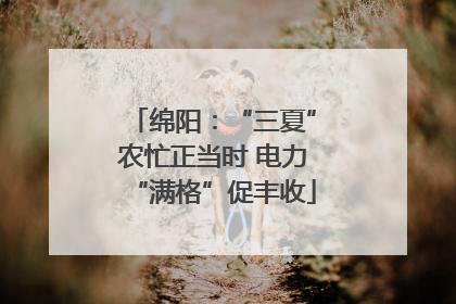 绵阳：“三夏”农忙正当时 电力“满格”促丰收