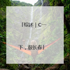 综述｜C一下，很长春