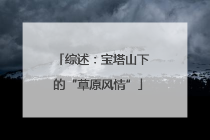 综述：宝塔山下的“草原风情”