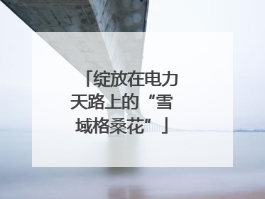 绽放在电力天路上的“雪域格桑花”