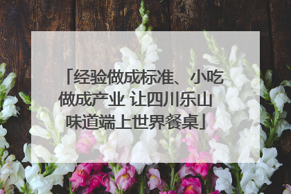 经验做成标准、小吃做成产业 让四川乐山味道端上世界餐桌