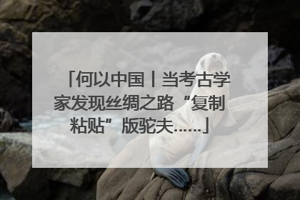 何以中国丨当考古学家发现丝绸之路“复制粘贴”版驼夫……