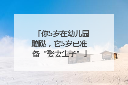 你5岁在幼儿园蹦跶，它5岁已准备“娶妻生子”