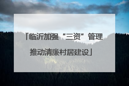 临沂加强“三资”管理 推动清廉村居建设