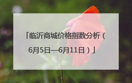临沂商城价格指数分析（6月5日—6月11日）