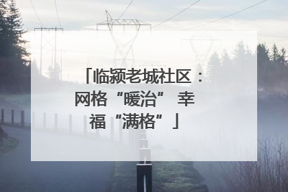 临颍老城社区：网格“暖治” 幸福“满格”