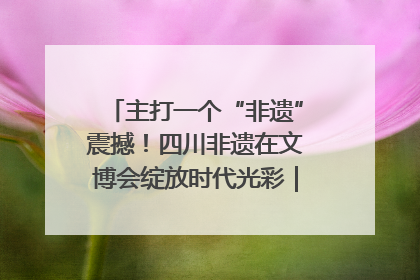 主打一个“非遗”震撼！四川非遗在文博会绽放时代光彩｜文博向“新”