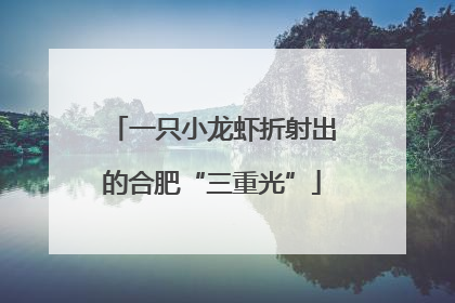 一只小龙虾折射出的合肥“三重光”