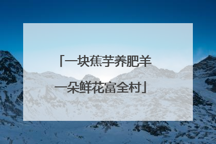 一块蕉芋养肥羊 一朵鲜花富全村