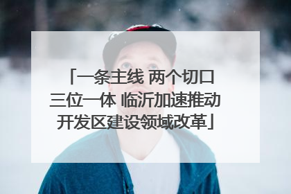 一条主线 两个切口 三位一体 临沂加速推动开发区建设领域改革